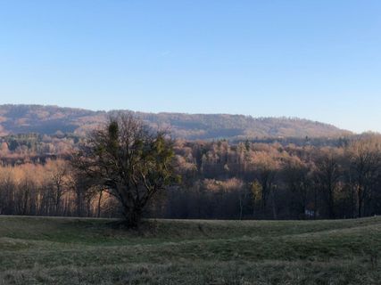 Foto de Barbara Schober a lo largo del recorrido