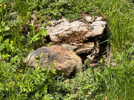 Foto von Norbert Herbig entlang der Tour