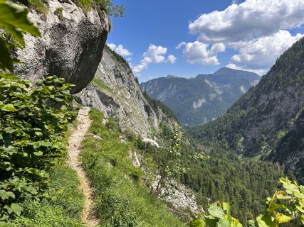 Fotografija s spletne strani Norbert Herbig na poti