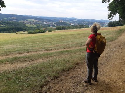 Foto de mmecki a lo largo del recorrido
