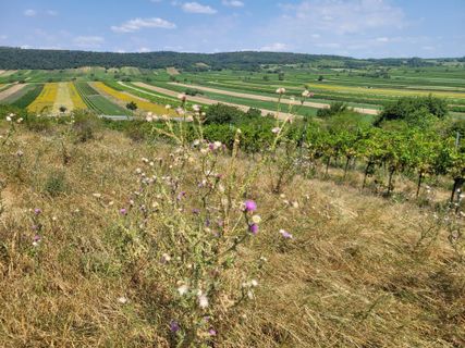 Foto von mmecki entlang der Tour
