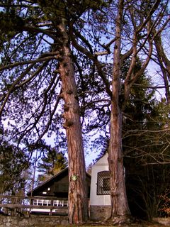 Foto von Kellner Heidi entlang der Tour