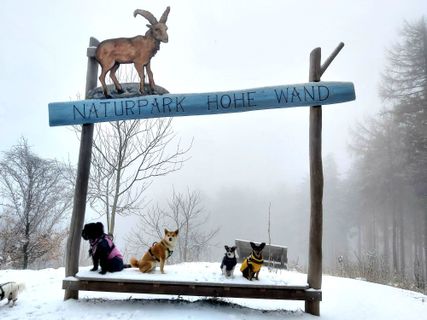 Foto von Antonietta Havasi entlang der Tour