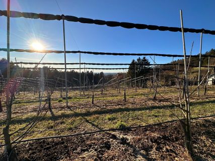 Foto de Norbert Herbig a lo largo del recorrido