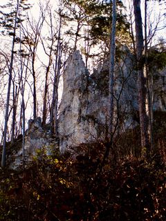 Kuva osoitteesta Kellner Heidi matkan varrella