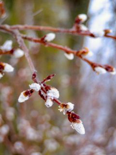Foto von Kellner Heidi entlang der Tour