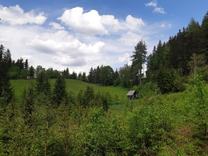 Foto von mmecki entlang der Tour