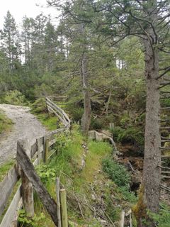 Foto von joergen entlang der Tour