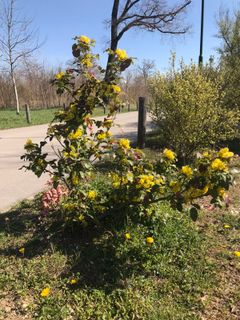 Foto von Kellner Heidi entlang der Tour