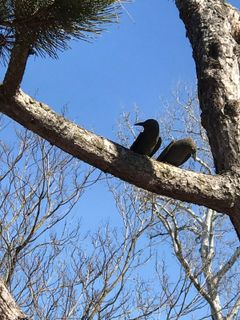 Foto von Kellner Heidi entlang der Tour