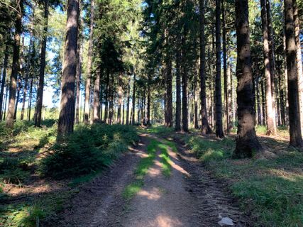 Fotografie z Patryk 1 na trase