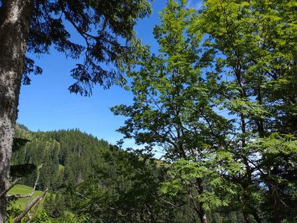 Fotografija s spletne strani Magda Ce na poti