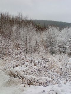 Fotografija s spletne strani Kellner Heidi na poti