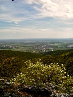 Fotografija s spletne strani Kellner Heidi na poti