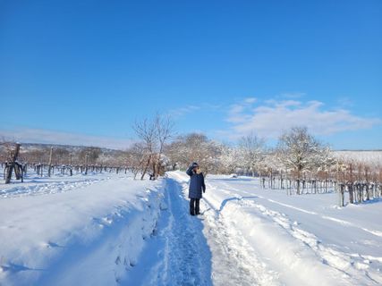 Fotografija s spletne strani mmecki na poti