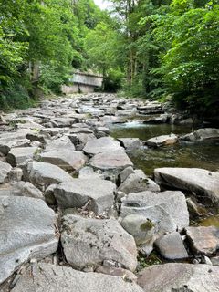 Foto von Ralf Umminger entlang der Tour