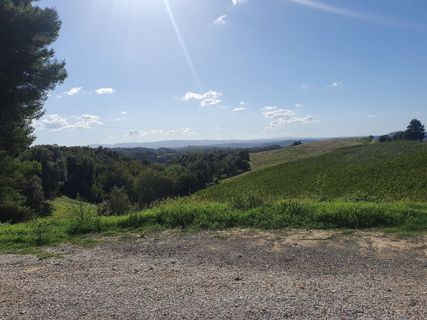 Foto de Holm Trittel a lo largo del recorrido