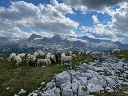 Photo de Michael Bauer le long du parcours