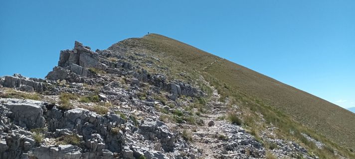 Fotografija s spletne strani Gabriele Cucchi na poti