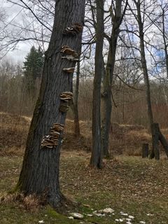 Fotografie z Kellner Heidi na trase