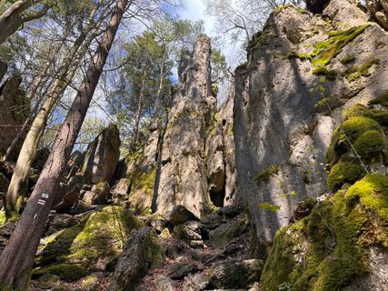 Foto de Norbert Herbig a lo largo del recorrido