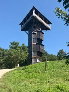 Fotografia z Kellner Heidi na trase