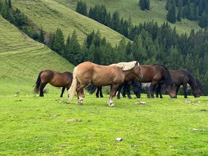 Photo de Fabio Infanti le long du parcours