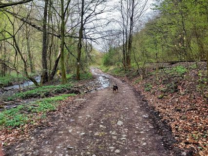 Fotografia z Antonietta Havasi na trase
