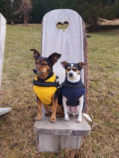 Foto von Antonietta Havasi entlang der Tour