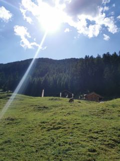 Foto von joergen entlang der Tour