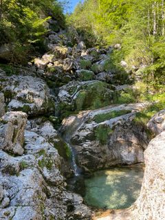 Photo de Michael Bauer le long du parcours