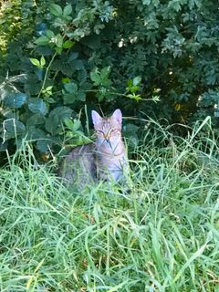 Fotografie z Kellner Heidi na trase