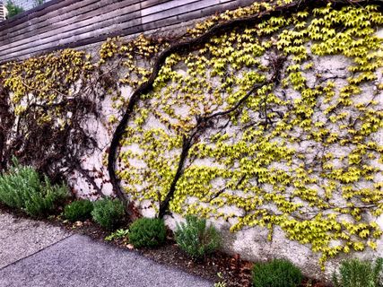 Fotografia z Kellner Heidi na trase