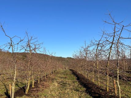 Foto de Norbert Herbig a lo largo del recorrido