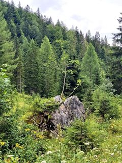 Foto von Antonietta Havasi entlang der Tour