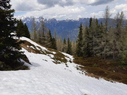 Photo de mmecki le long du parcours