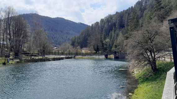 Foto de Cabrio Smith a lo largo del recorrido
