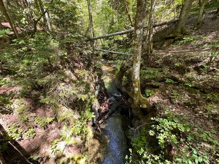 Foto de Norbert Herbig a lo largo del recorrido