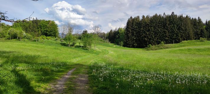 Fotografija s spletne strani Thomas Klein na poti