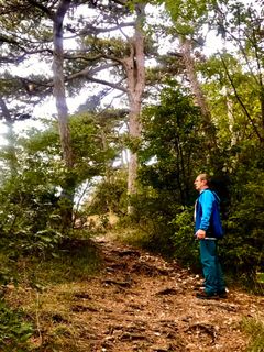 Photo de Kellner Heidi le long du parcours