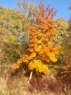 Zdjęcie z Kellner Heidi wzdłuż trasy