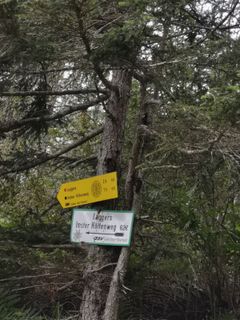 Foto de joergen a lo largo del recorrido