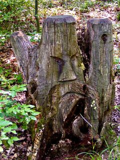 Zdjęcie z Kellner Heidi wzdłuż trasy