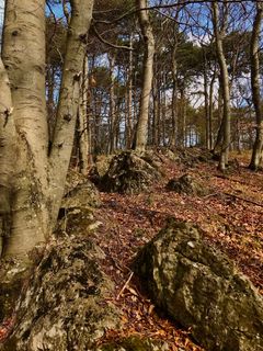 Fotografie z Kellner Heidi na trase