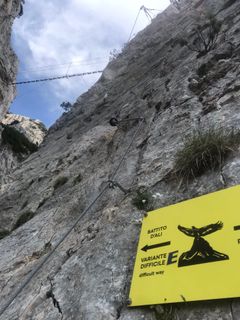 Fotografija s spletne strani Heikoala na poti