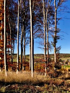 Fotografia z Kellner Heidi na trase