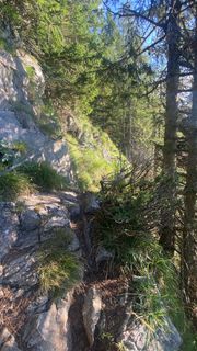 Foto von EleGams entlang der Tour