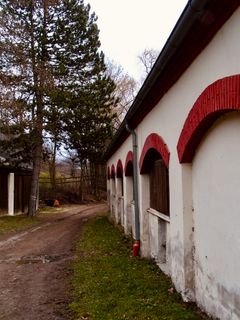 Foto von Kellner Heidi entlang der Tour