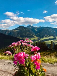 Fotografija s spletne strani Kellner Heidi na poti