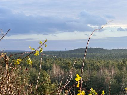 Fotografie z Norbert Herbig na trase